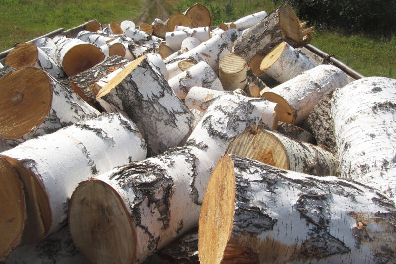 Зауралец незаконно нарубил деревьев на 135 тысяч рублей