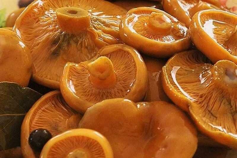 «Будешь ты соленым»