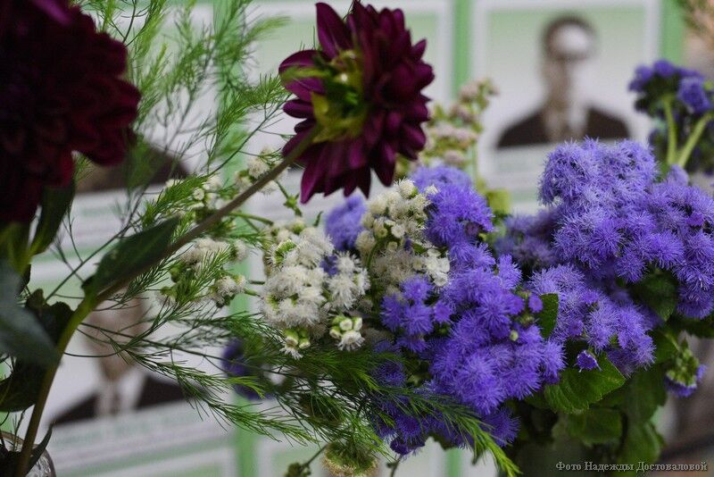 Более сотни разновидностей хризантем смогут увидеть курганцы