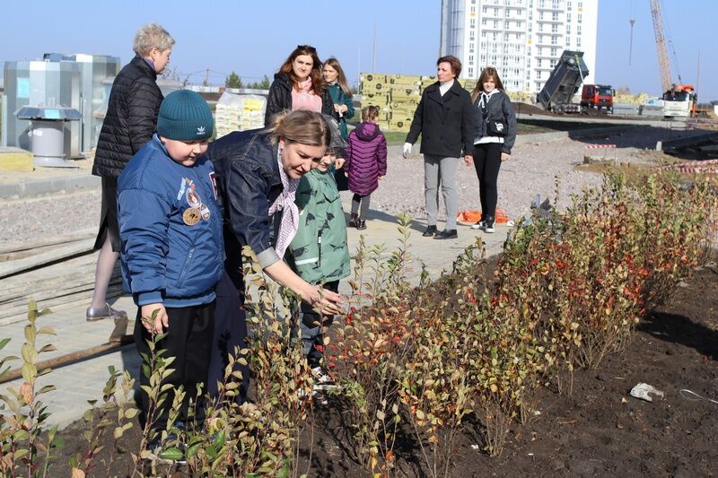 В Кургане в День учителя заложили «Аллею педагогов»