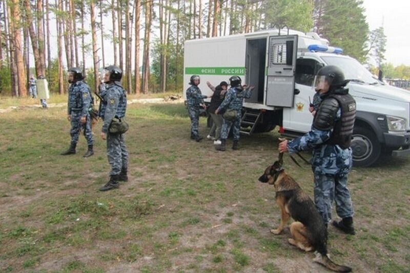 Девять осужденных за разбои и угон авто задержаны во время операции «Розыск» в
				Курганской области