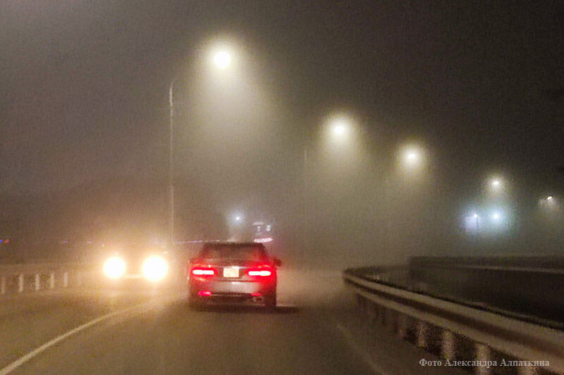 Госавтоинспекция предупреждает водителей о тумане на дорогах