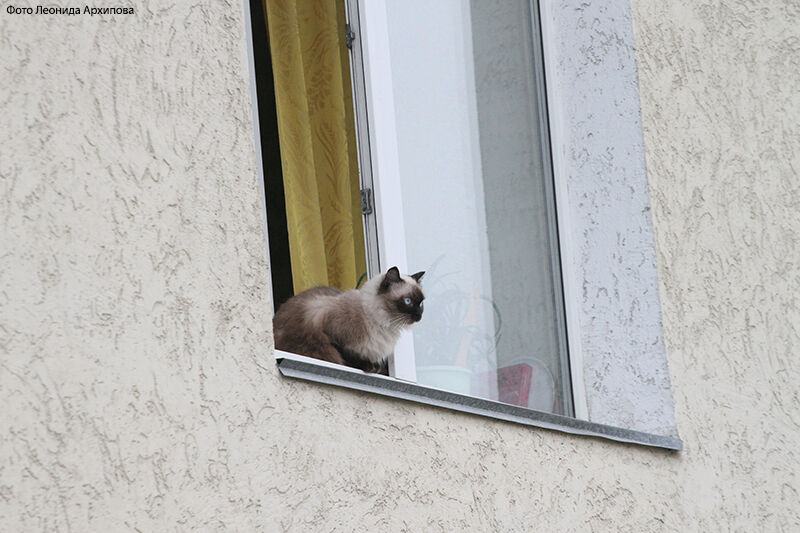 В Кургане приводят в порядок дома, находящиеся на обслуживании МУП «Прометей»