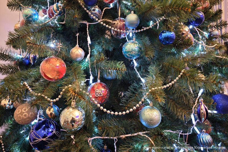 Курганские бизнесмены сняли с «Елки губернатора» шары с мечтами детей