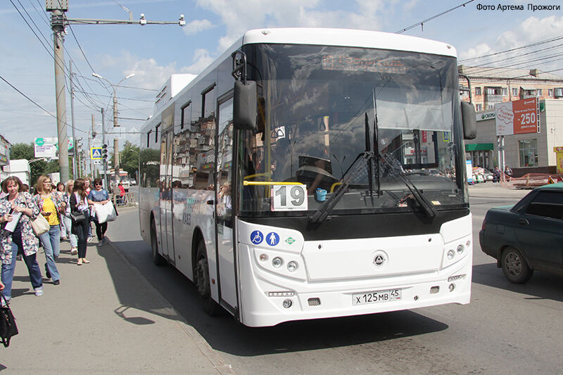 Глава Кургана рассказала о перспективах развития общественного транспорта