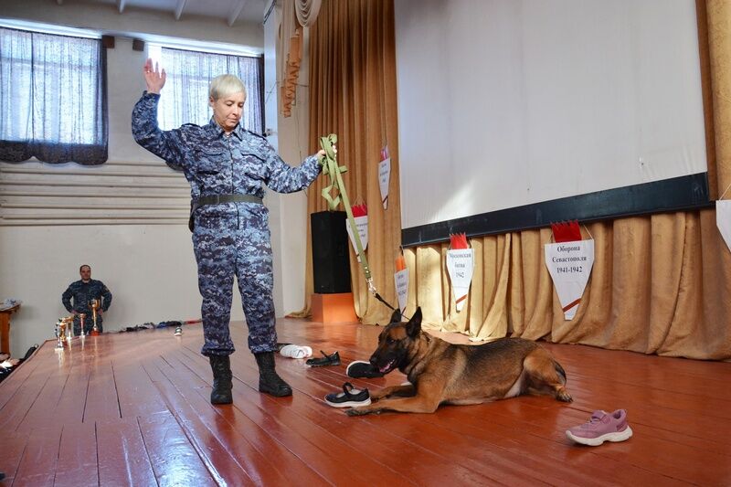 Кинологи с собаками приехали в курганскую школу