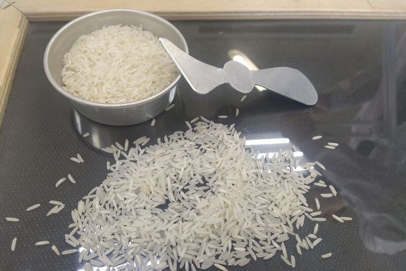 20 сентября отмечается Всемирный день риса