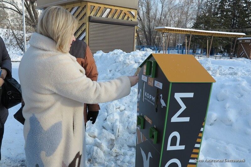 В курганском парке появился автомат со специальным кормом для уток