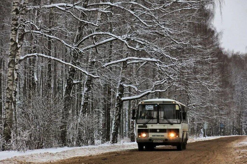 Страховые выплаты пассажирам общественного транспорта выросли на 7%