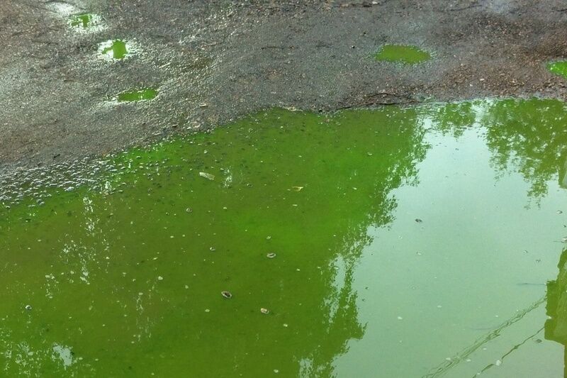 В Кургане окрасили воду в ярко-зеленый цвет для проверки теплосетей на герметичность