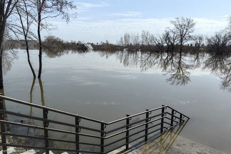 Прокуратура Курганской области запустила горячую линию из-за паводков