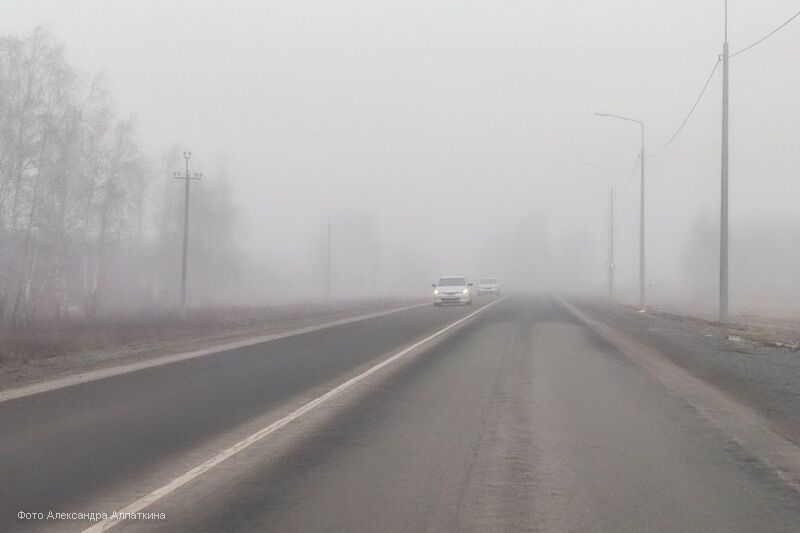 На дорогах Курганской области образовался туман
