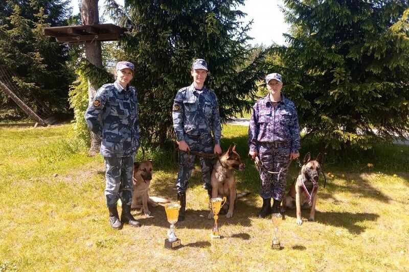 Курганские кинологи привезли «бронзу» со всероссийских соревнований