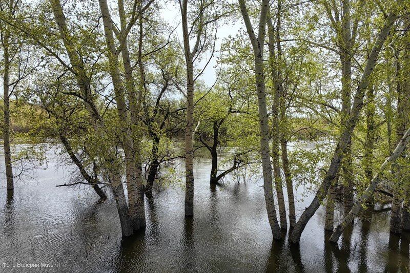 Курганцы помогают челябинцам справиться с последствиями паводка