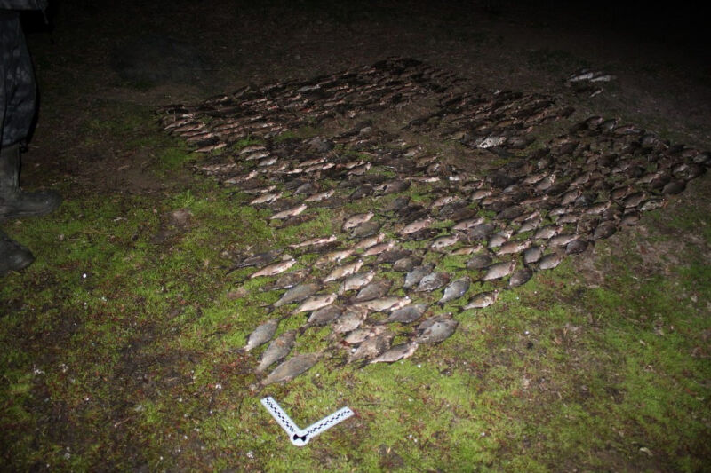 Курганец незаконно наловил рыб почти на 200 тысяч рублей