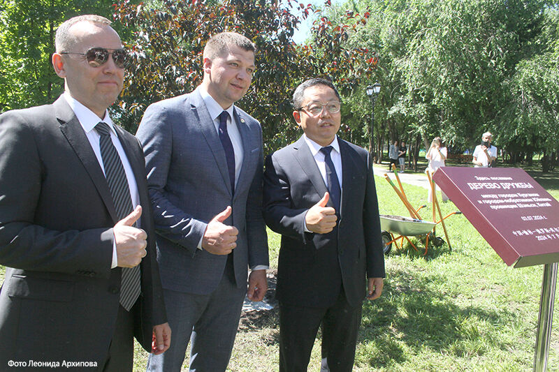 В горсаду высадили «Дерево дружбы» между Курганом и китайским городом Юйлинь