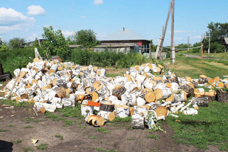 Молодому зауральцу грозит срок за незаконную рубку