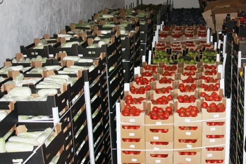 Перевозчикам фруктов и овощей через российско-казахстанскую границу рекомендуют ехать через Курганскую область