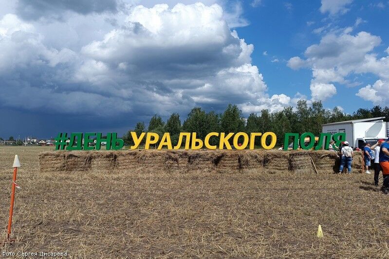 Курган стал сельскохозяйственной столицей УрФО