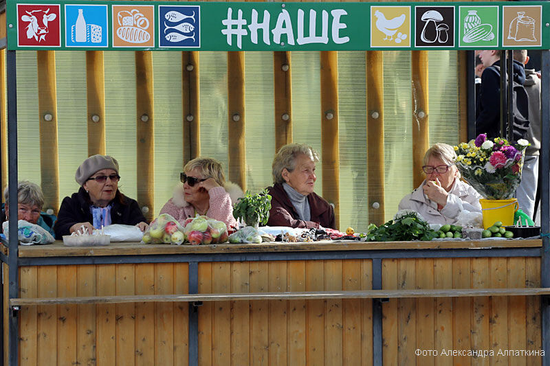 В Кургане открылись сезонные фермерские ярмарки