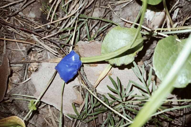 В Кургане 18-летняя девушка получила восемь лет колонии за попытку сбыта 16
				граммов наркотиков