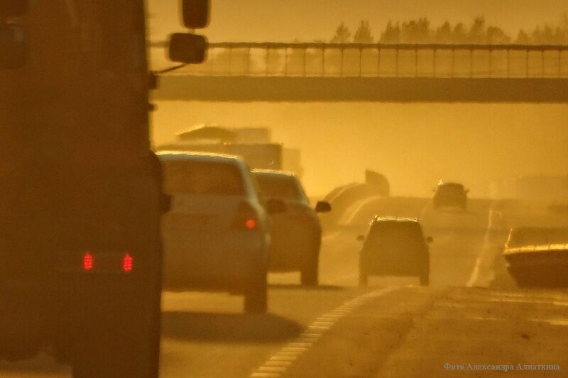 Кто из водителей предпочитает цифровое урегулирование по ОСАГО