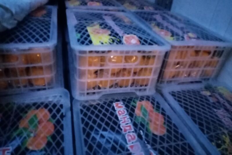 В Курганскую область из-за границы не пропустили подозрительные мандарины и яблоки