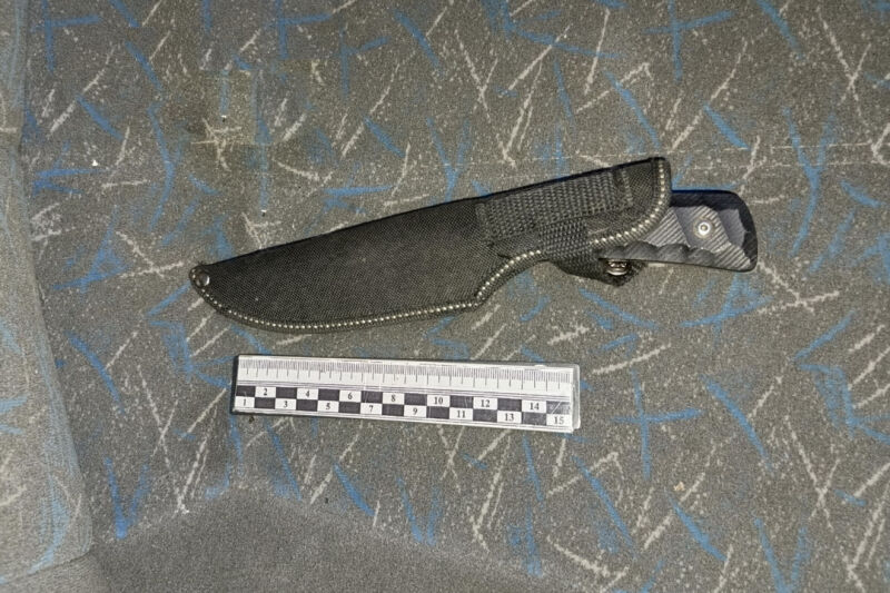 Иностранец незаконно добыл двух косуль в Зауралье