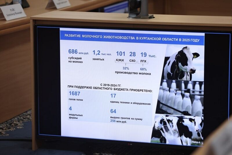 В Курганской области будут дополнительно выделять до 1 млрд рублей на поддержание молочного животноводства