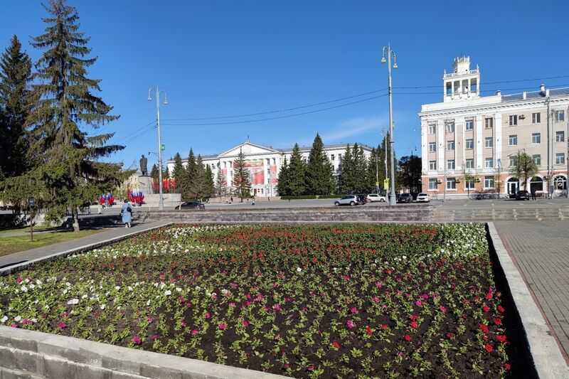 В Кургане высадят больше 80 000 цветов