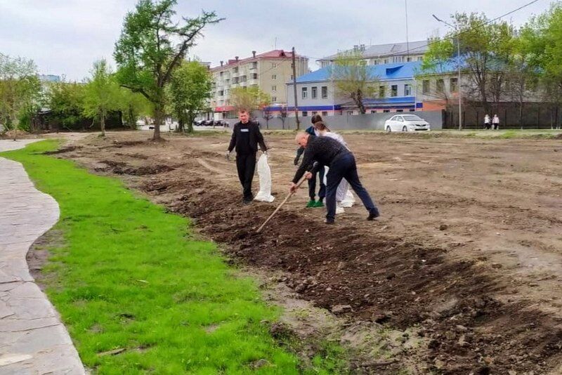 На берегу Битевки в Кургане появится газон