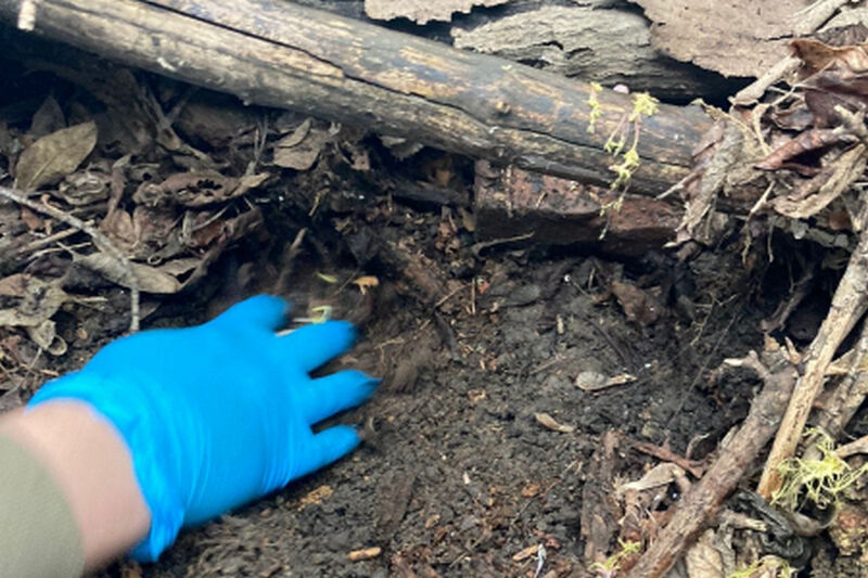 17-летнего курганца обвинили в покушении на сбыт 26 закладок с синтетическими
				наркотиками