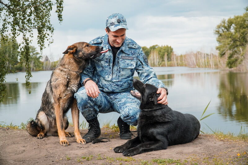 21 июня зауральские кинологи отмечают профессиональный праздник