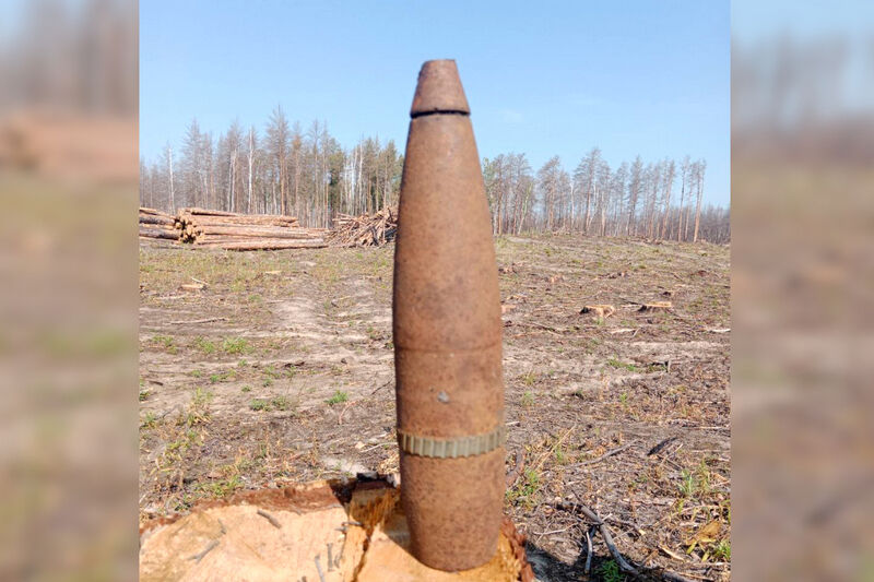 В Зауралье обезвредили обнаруженный снаряд времен Гражданской войны