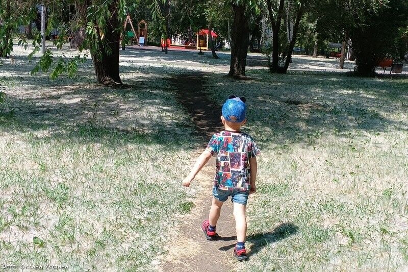 В Кургане парки замело тополиным пухом