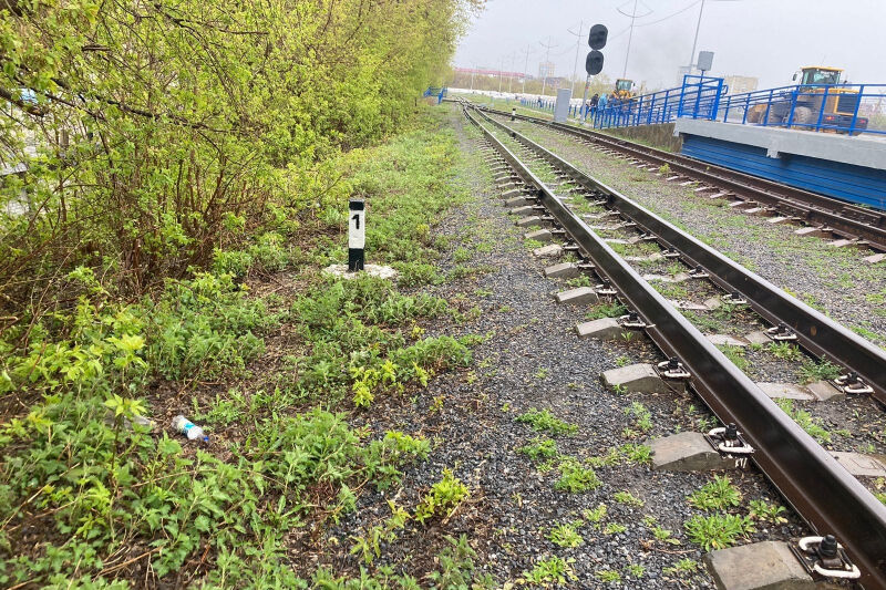 Иностранец приехал в Курган распространять наркотики и попал в больницу из-за передозировки