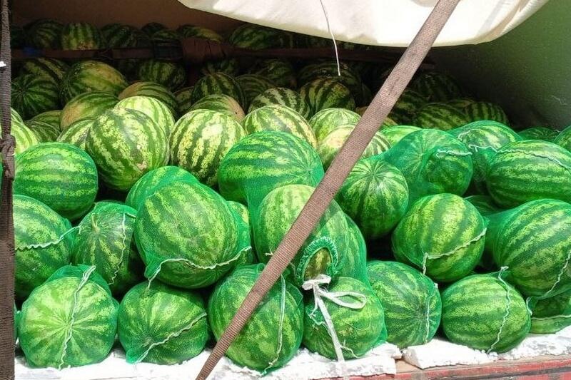 В Курганской области запретили к ввозу 44 тонн арбузов