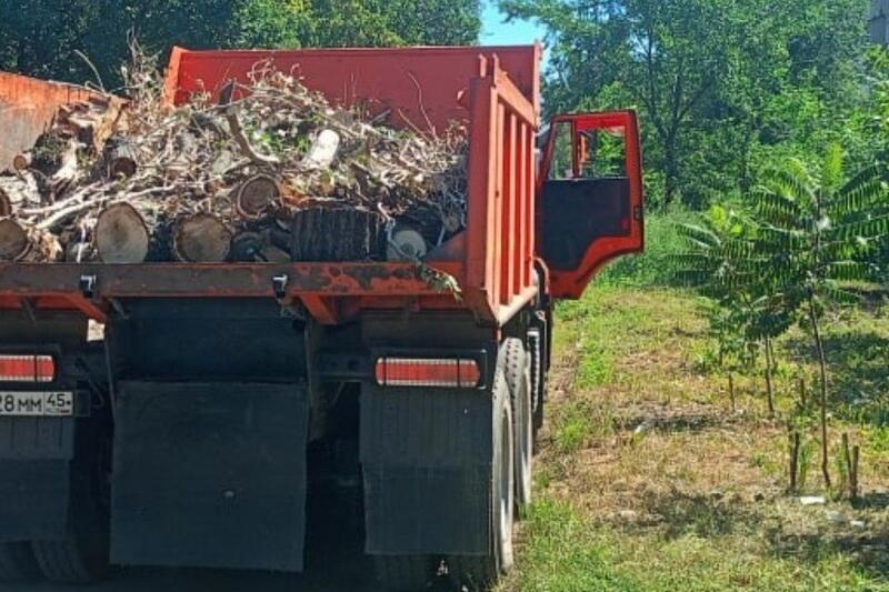 Курганские энергетики проводят обрезку деревьев в Краснодоне