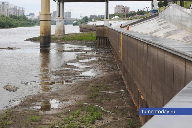 новости курган