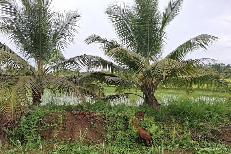 Летом 2025 года каждое седьмое застрахованное путешествие россиян сорвалось