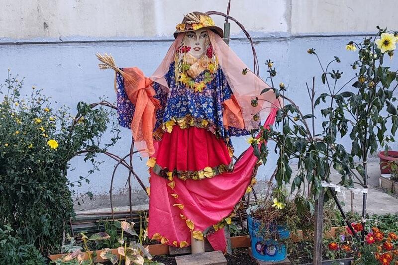 новости курган