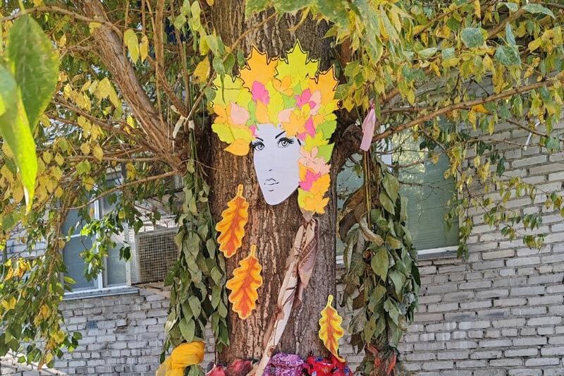 новости курган