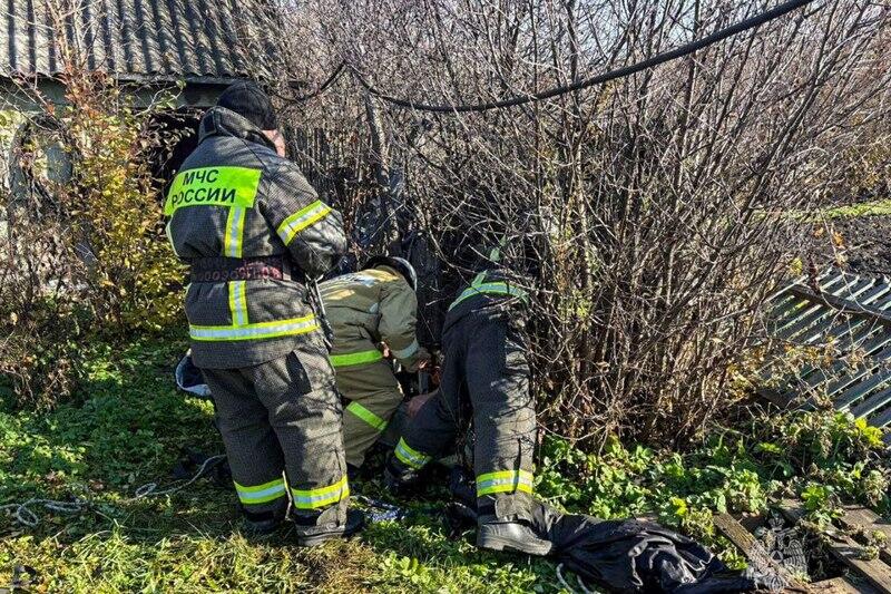 новости курган