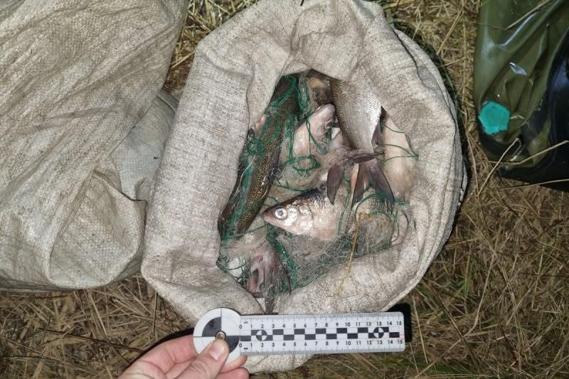 новости курган