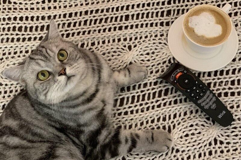 Wink раскрыл предпочтения зауральских зрителей: «Фишер» и «Ландыши» — в топе