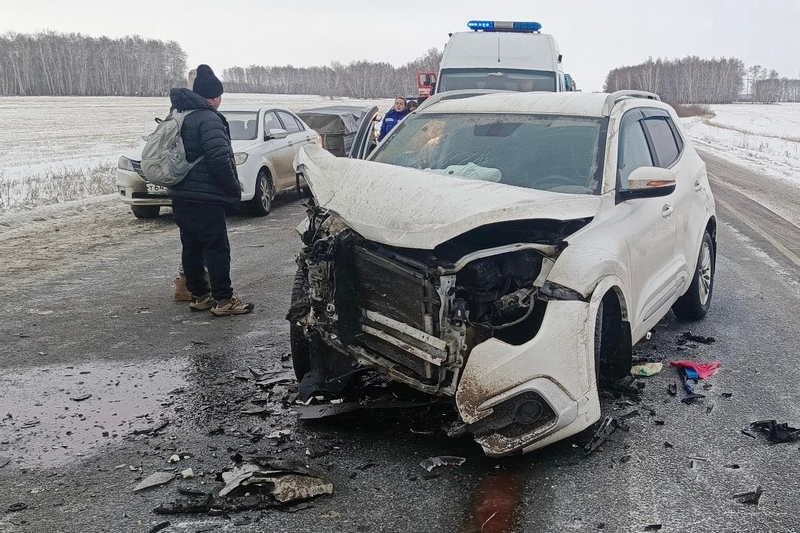 В Курганской области разыскивают очевидцев двух смертельных ДТП на трассе «Иртыш»