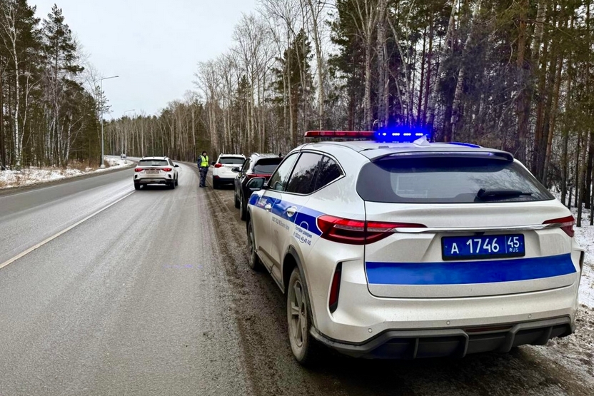 В Курганской области за два дня задержали 32 пьяных водителя
