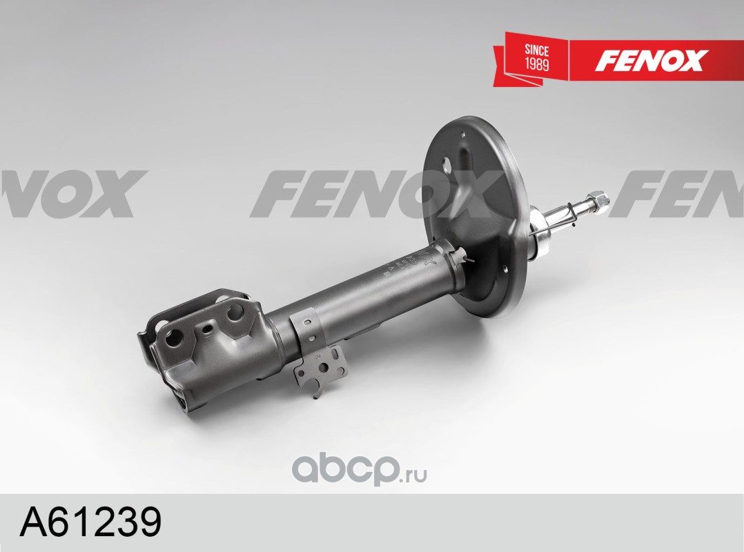 Стойка аморт перед прав Rav 4 II 00-06, Chery Tiggo Tagaz Fenox