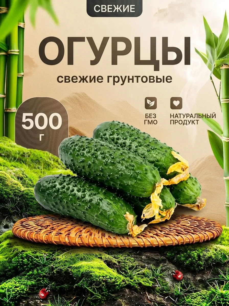 Огурцы свежие 500 г для салатов и консервации