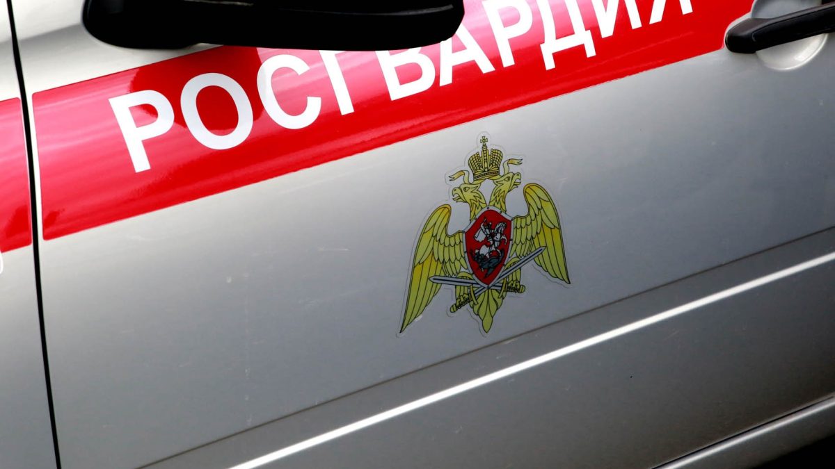Фото: 13.rosguard.gov.ru